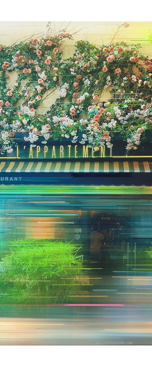 L'Appartement by Anil Mistry