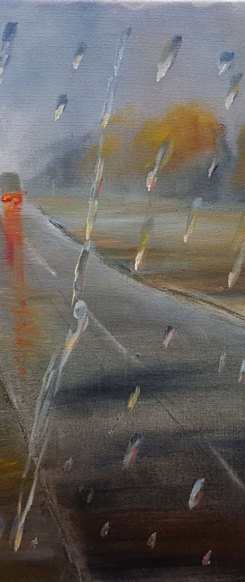 Rainfall by Vladimir Jarmolo