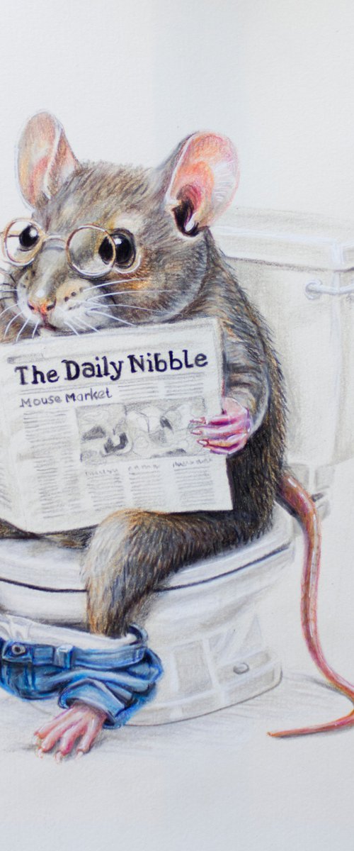 The Daily Nibble by Jennie Smallenbroek