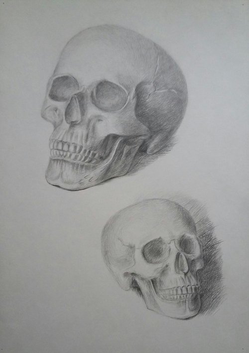 Skull. Portrait "On the left and right" by Yury Klyan
