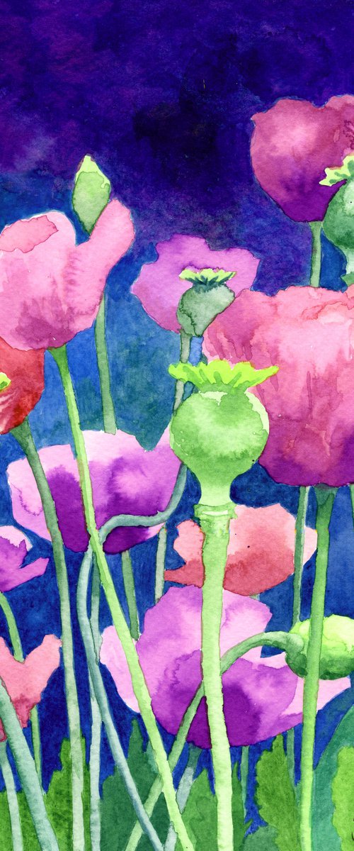 Poppy Love by Lisa Mann
