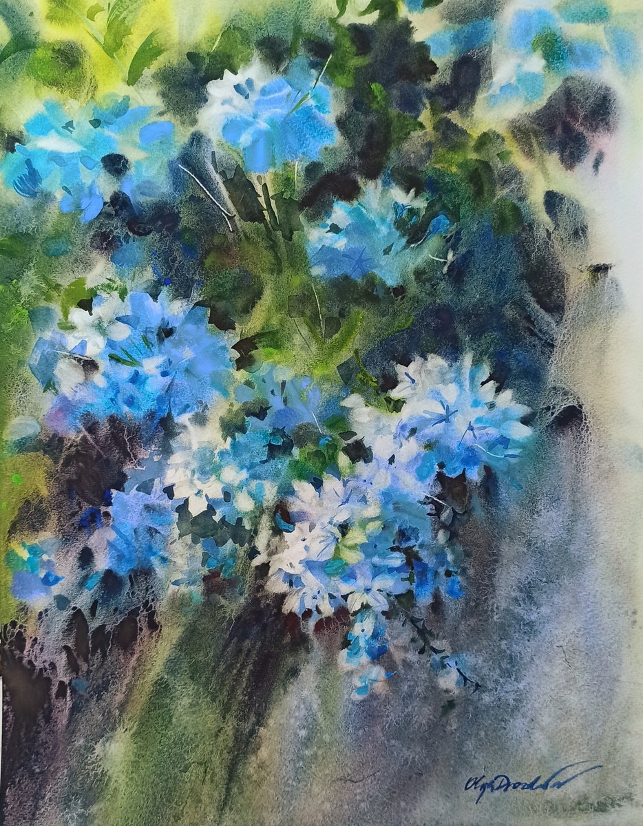 Plumbago flowers by Olga Drozdova