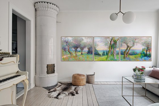 Olive grove.