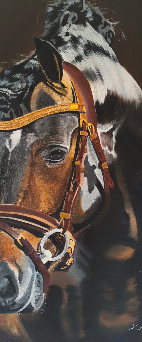 The Noble Gaze by Kenny Diniz