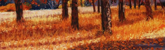 A Symphony of Autumn Aspens