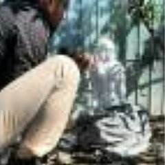 Visit Samuel-Emanuel Nelepcu shop