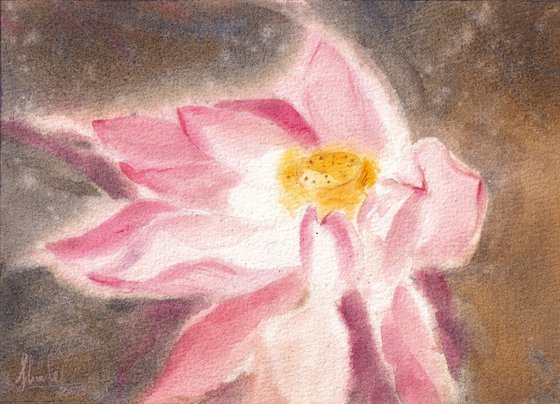 Lotus