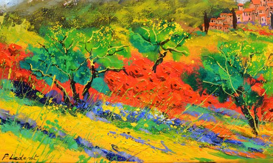 Provence 7524