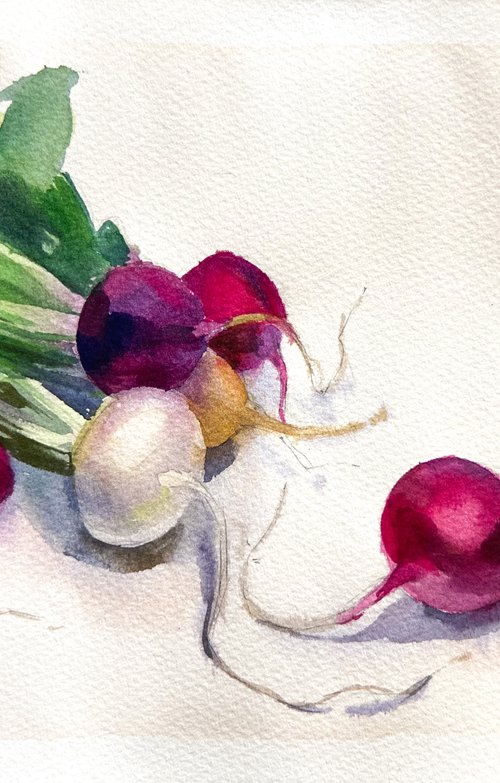 Radish by Nataliia Nosyk