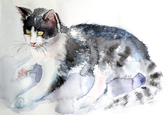 Cat II