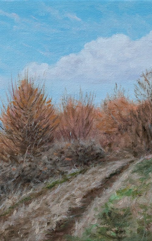 Falcon Hill by Dejan Trajkovic