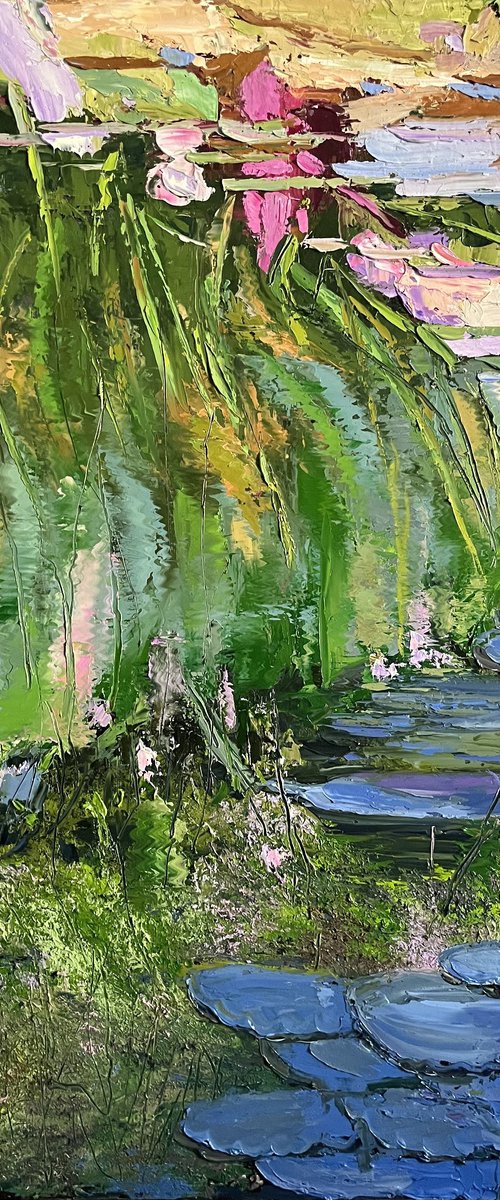 Water lilies pond(SA) by Elena Mashajeva-Agraphiotis