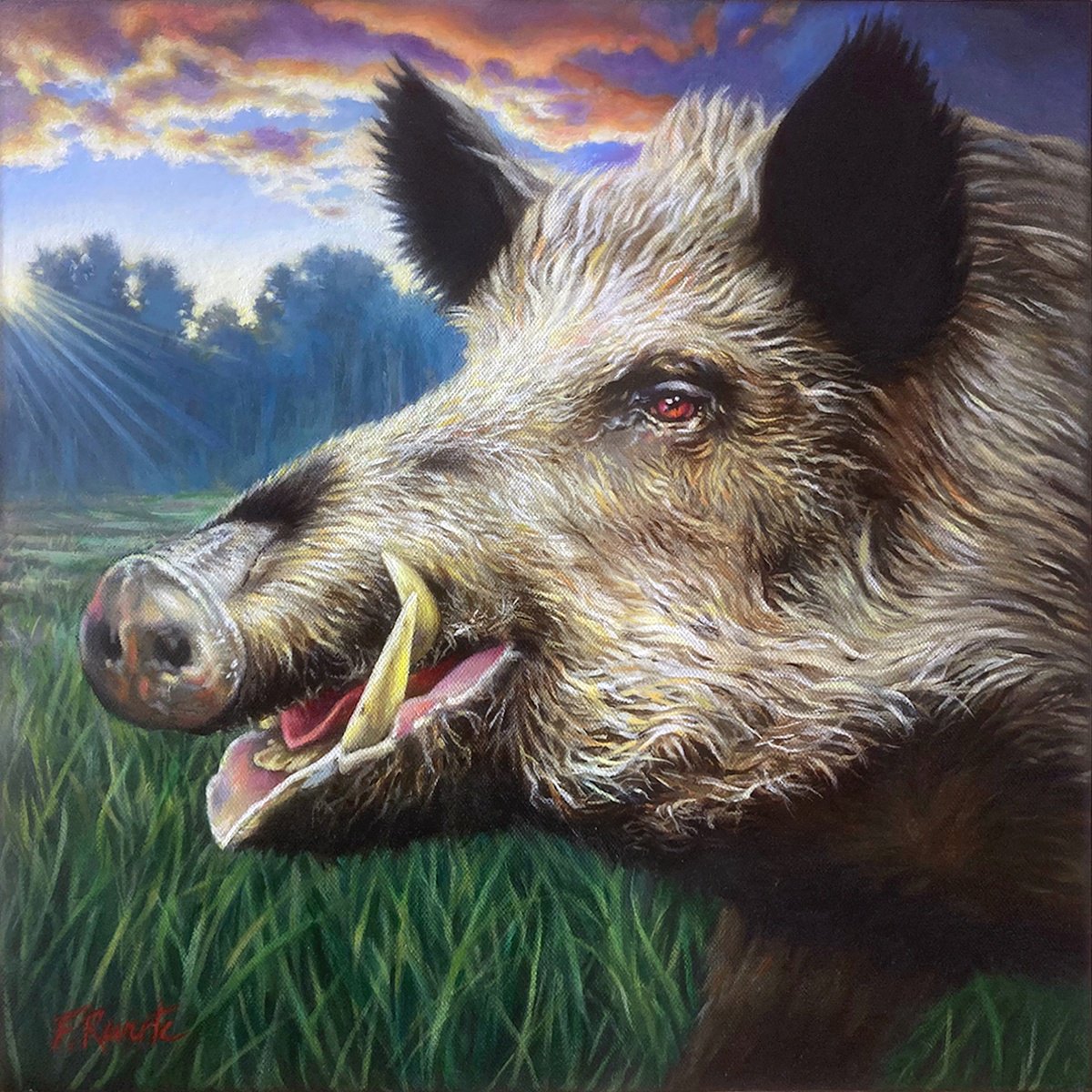 Boar by Frederic Reverte