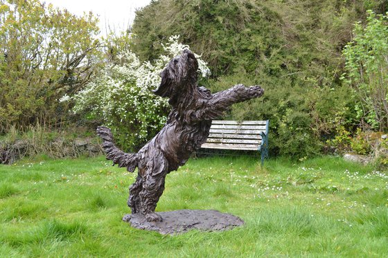 Leaping Bearded Collie Resin