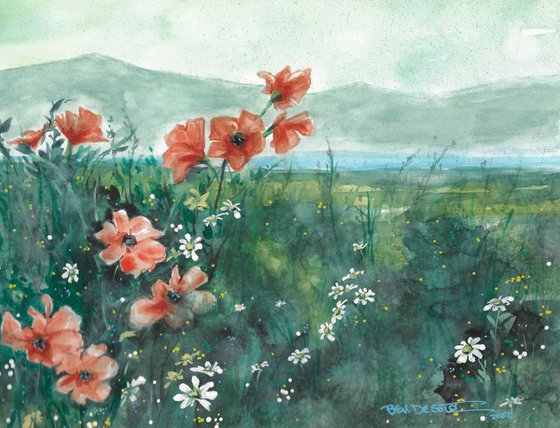 Poppies and Daisies