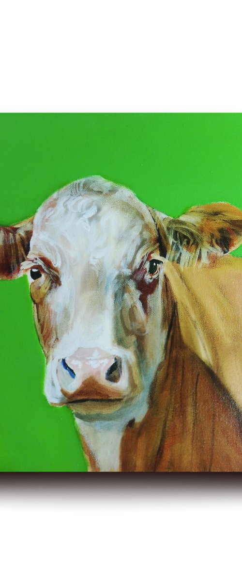 Portrait of a cow in green by Gordon Bruce