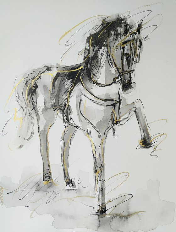 Horse  ink drawing series-Horse drawing on paper