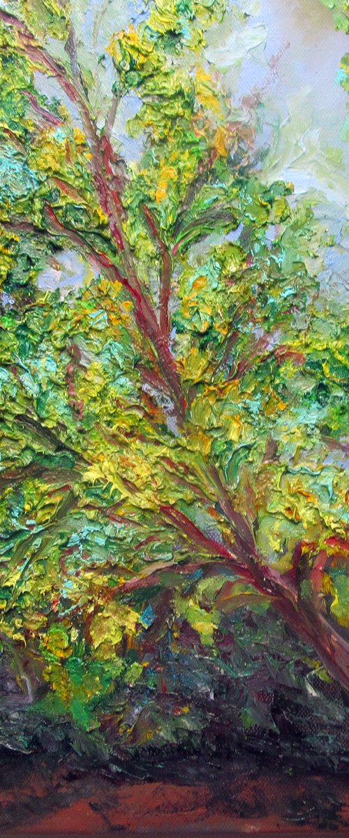 Mimosa Yellow Blooming Tree Palette Knife Heavy Textured Small 16x16 in. (40x40 cm) by Katia Ricci
