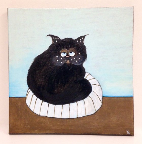 Black cat with cushion
