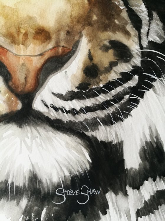 Watchful ( watercolour tiger) Free Shipping