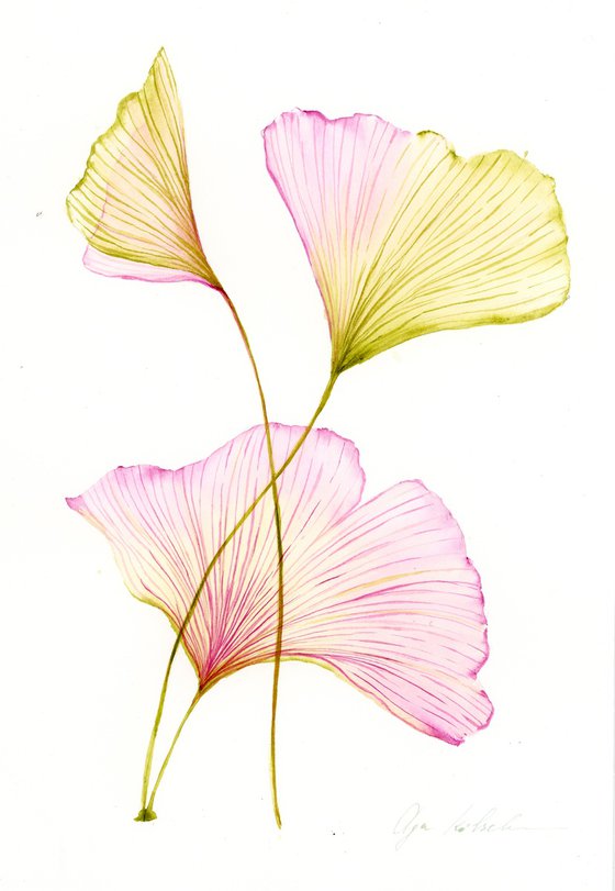 Ginkgo Biloba in Pink