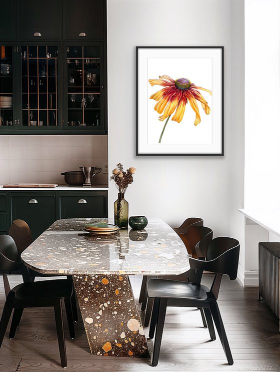 Greetings to the sun