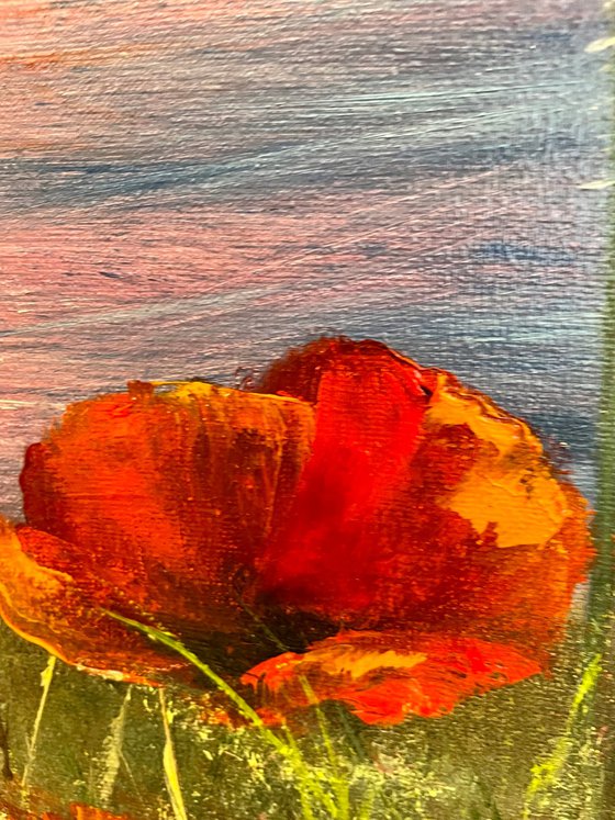 Sunset with poppies - seascape
