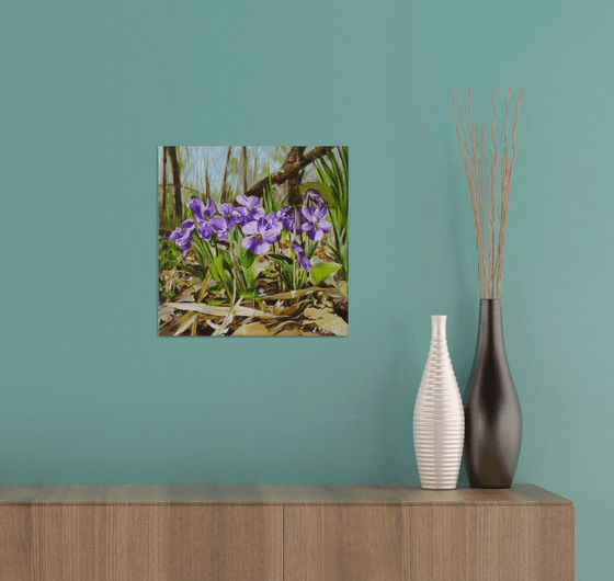 Spring Violets on Forest Floor