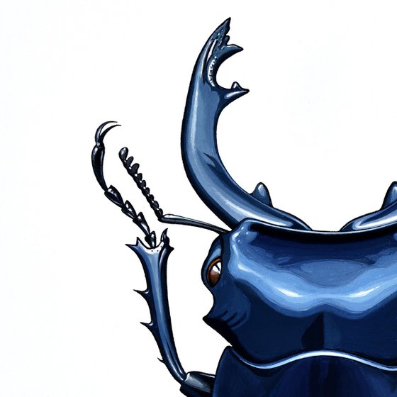 Stag Beetle #1