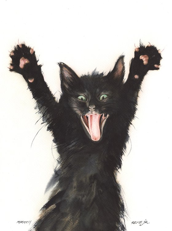 Funny Scary Black Kitten