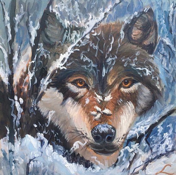 Winter wolf portrait