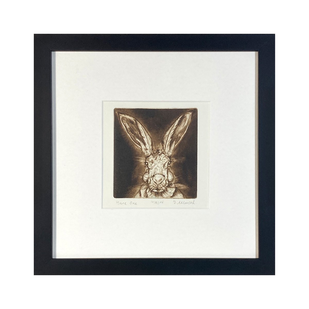 Hare One by Francis Allwood