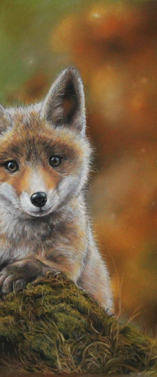 Little fox in the forrest by Tatjana Bril