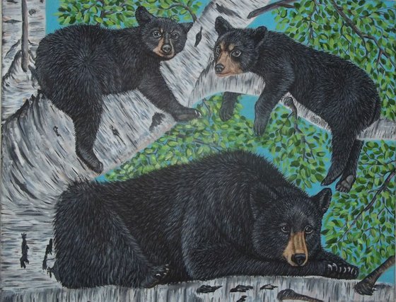 Black bears in a birch tree