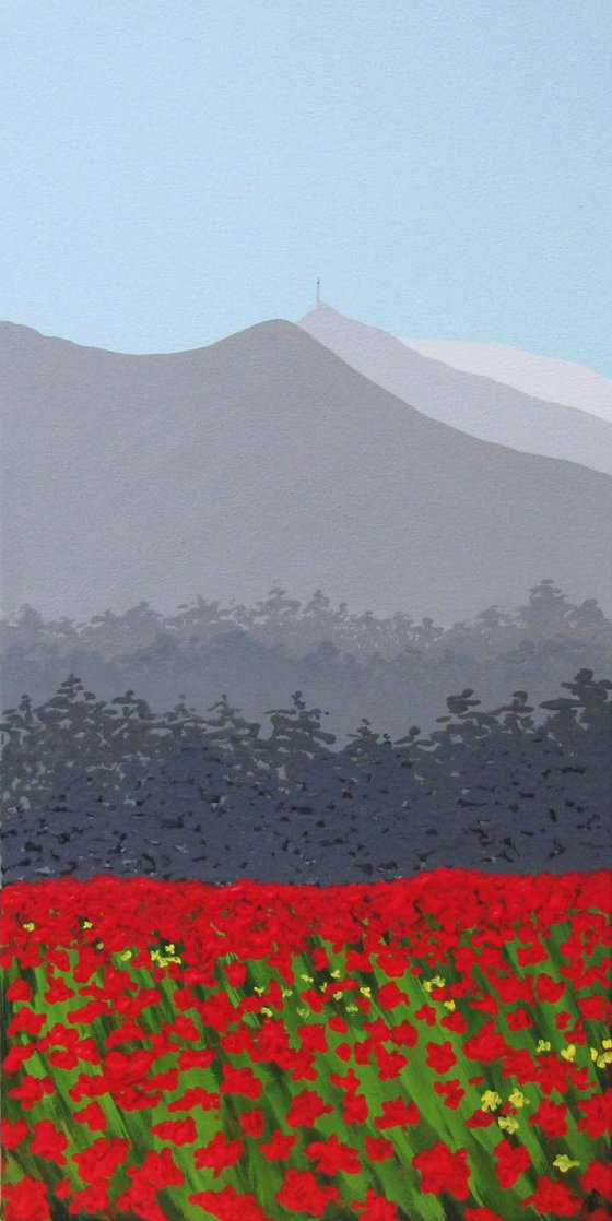 Mont Ventoux & the poppies, France