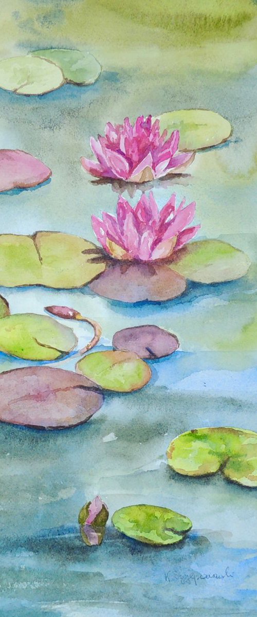 Water lilies by Krystyna Szczepanowski