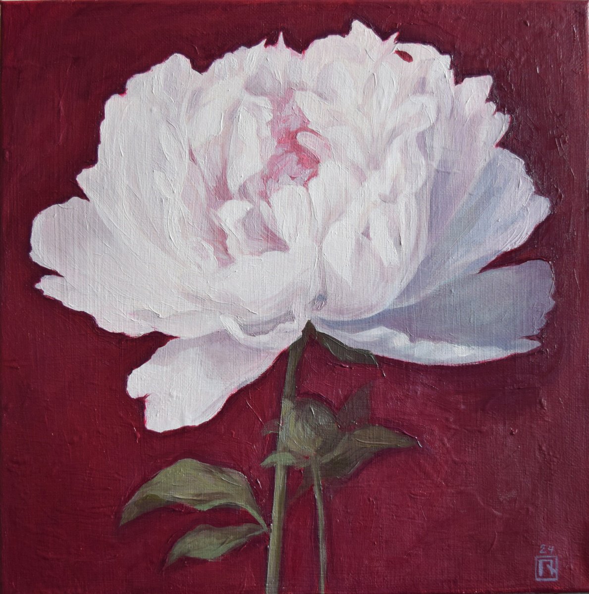 Photorealistic Botanical Oil Painting By Polina Kharlamova, 12 X 12", Flower On A Red Background, Original Artwork