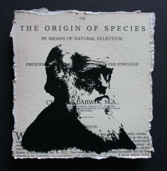 Darwin - On the Origin of Species (Framed)