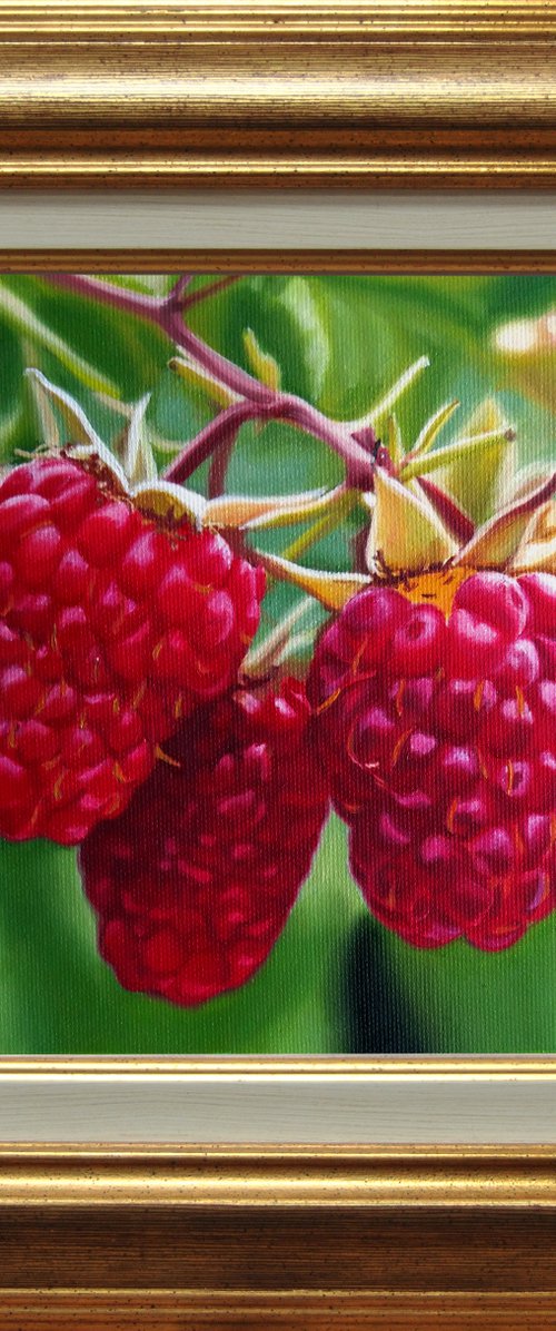 Raspberries painting by Simona Tsvetkova