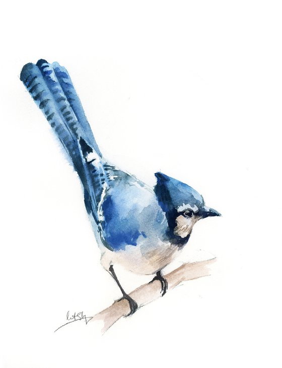 Blue jay birds watercolor painting 2 set