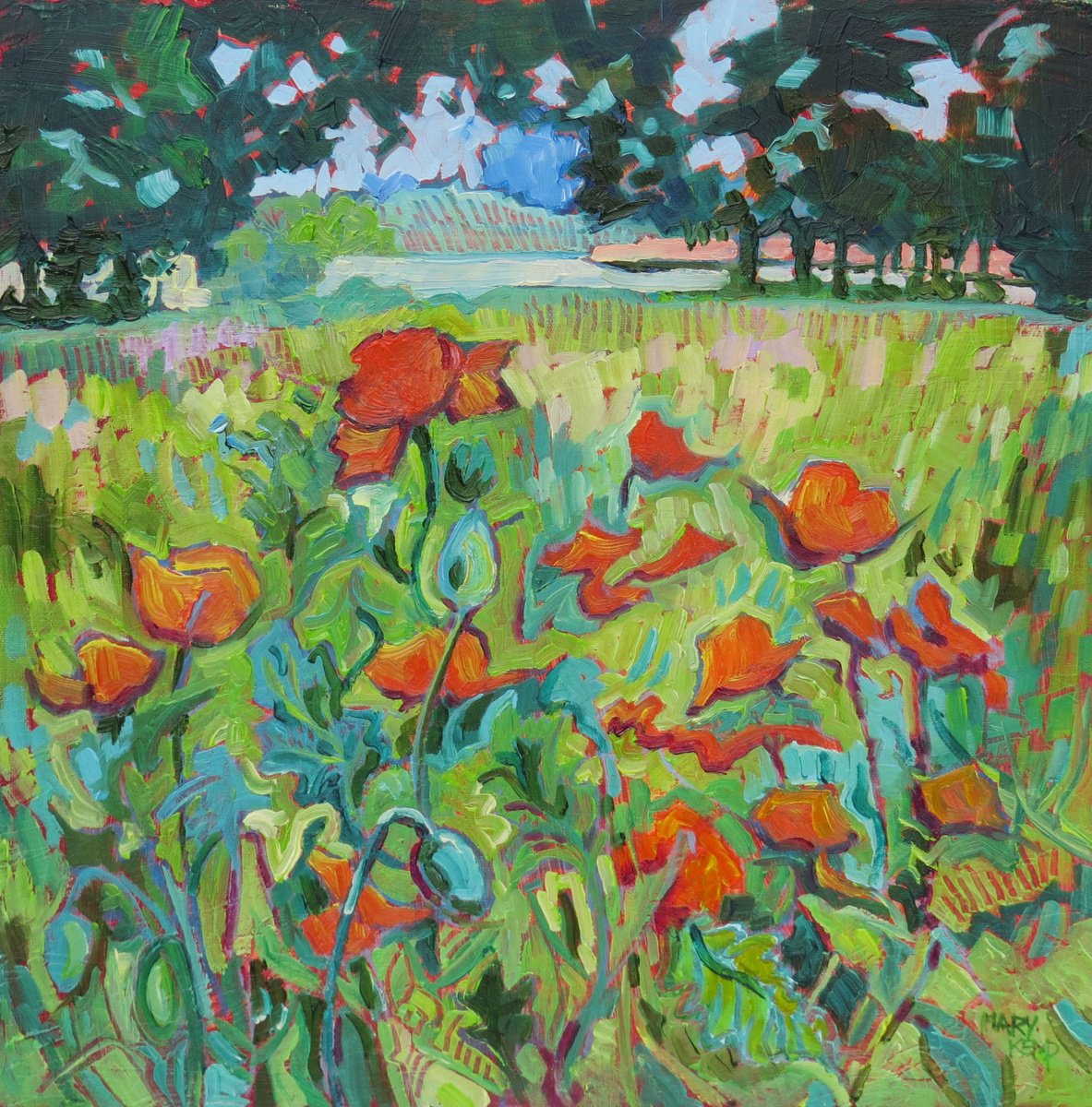 Tangled Poppies, Woodland Clearing by Mary Kemp