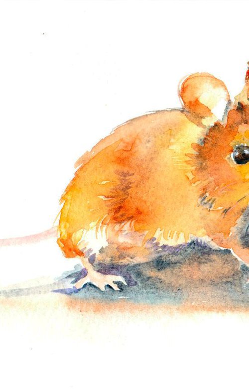 Mouse painting, Mouse watercolour, wildlife watercolour painting, Wildlife Wall art, watercolor painting, Cute wall art by Anjana Cawdell
