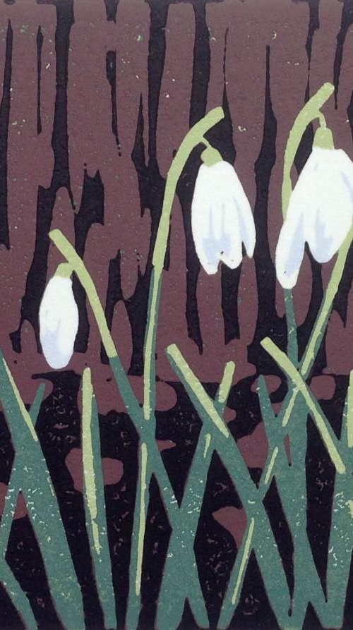 A Promise of Snowdrops by Alexandra Buckle