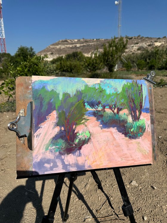 Orange garden