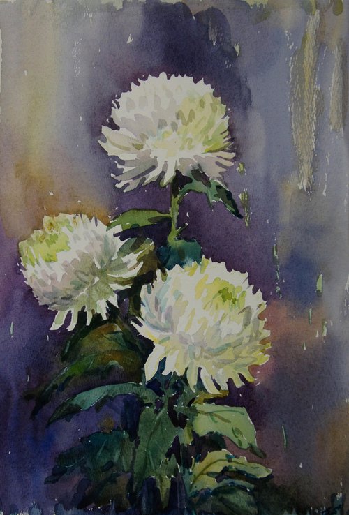 Chrysanthemums by Elena Sanina