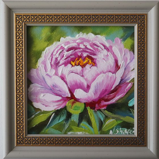 Peony Small Art Framed