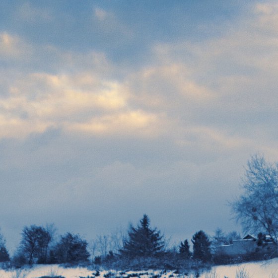 Sledging in the winter park.