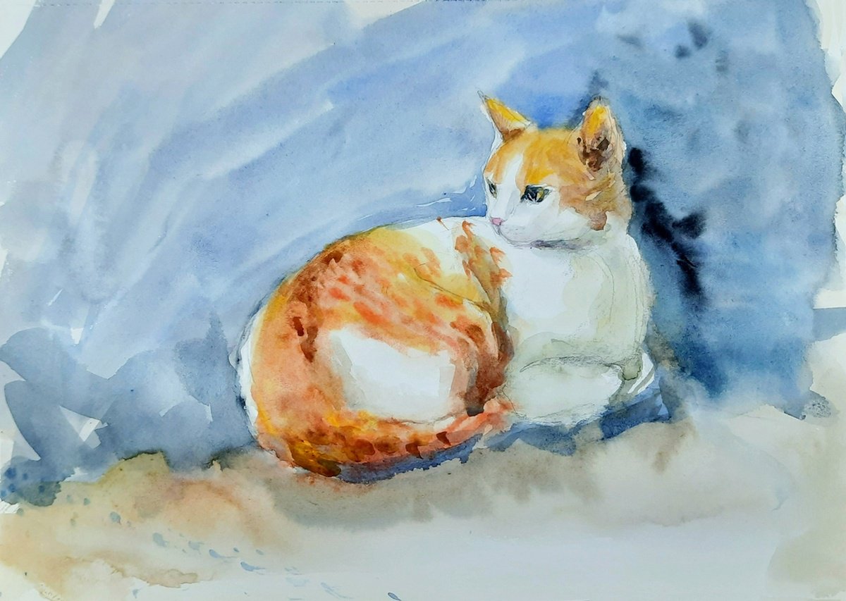 Impressionistic Animal Drawing By Asha Shenoy, 12 X 8, Orange Tabby Cat Shambhavi, Original Artwork