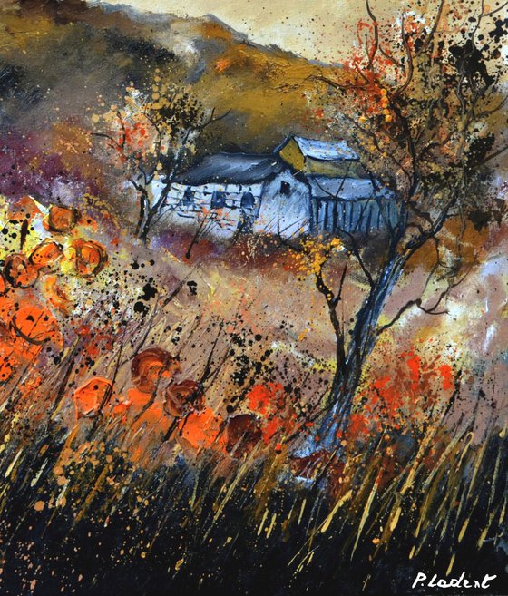 Orange flowers in autumn- 8823