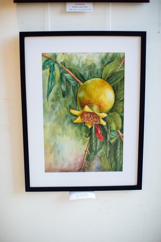 Pomegranate Painting